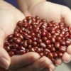 湯たんぽ知っているけど、レンジでできる小豆の湯たんぽ？