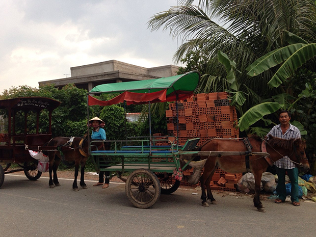 ベトナムでは牛車に乗れる