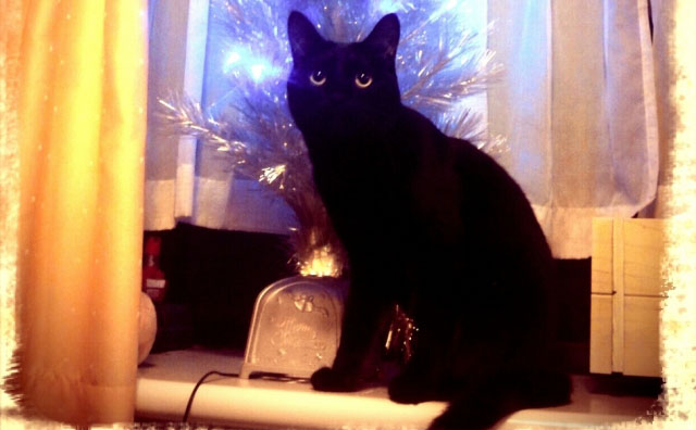 クリスマスに観たい映画特集！是非見ていただきたい定番やホラー映画